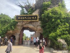 -大槐树寻根祭祖园