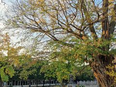 -苏州碑刻博物馆