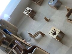 -藏猫猫咖啡主题馆(中央大道店)