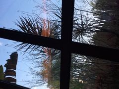 -广州都喜泰丽温泉度假酒店