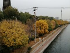 -玲珑塔公园