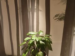 -合和大唐足道·泰式·SPA (凤城五路店)