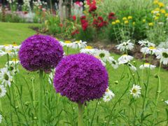 -上海植物园-4号门售票处