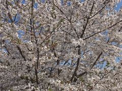 -同济大学(嘉定校区)