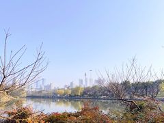 -月湖风景区