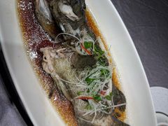 -骏莱海鲜鱼港(五角场店)
