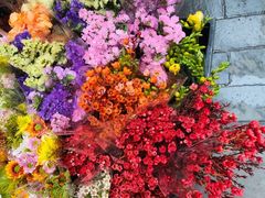 -越秀西湖花市(广州城市广场花卉店)