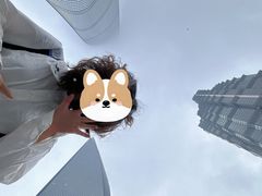 -陆家嘴空中步行连廊