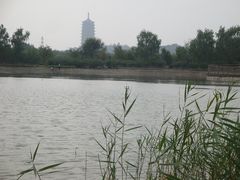 -永定河休闲森林公园