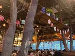 -同仁四季椰子鸡(宝安壹方城店)