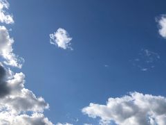 -哈尔滨北方森林动物园