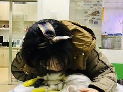 -皖宠联盟宠爱优家宠物医院(中兴西湖店)