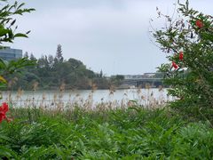 -华侨城湿地公园
