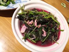 -顺承小院儿