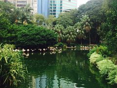 -九龙公园