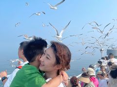 -海驴岛(荣成市)
