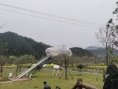 -石台牯牛降景区