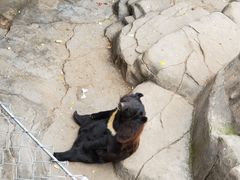 -石家庄市动物园