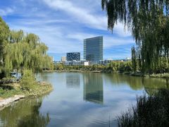 -大兴滨河森林公园