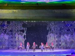 -灵玲国际马戏城