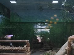-灵玲国际马戏城