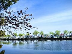 -无锡蠡湖国家湿地公园-蠡园