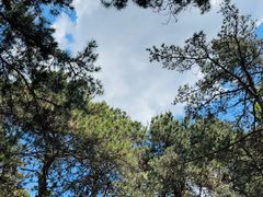 -沈阳森林动物园