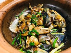 沙锅大鱼头-海鲜街菜馆(海珠南路店)