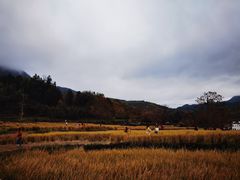 -塔川景区