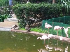 -九龙公园