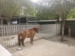 -洪湖家庭农场·团建·露营·会议