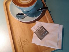 左翼拿铁-sugarman espresso素饮糖人高新咖啡工厂