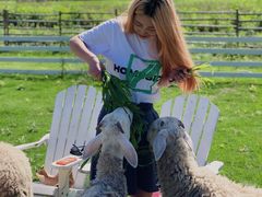 -溪口-滕头旅游景区