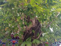 -东天目山风景区