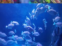 -成都浩海立方海洋公园