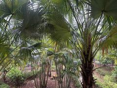 -厨房好味(国贸店)