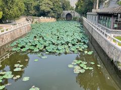 -水绘园
