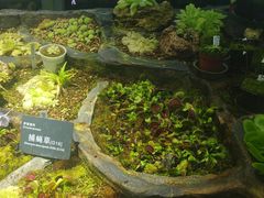 -国家植物园南园