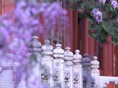 -北京国子监胡同
