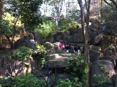 -金鸡山公园