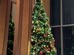 -嘉定凯悦·咖啡厅