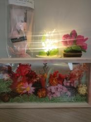 -敦南真爱月子会所(黄埔店)