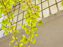-一个勺子新疆锡伯主题私房菜(红墙巷49号院店)