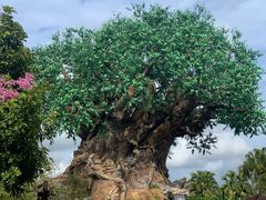 -奥兰多迪士尼动物王国乐园