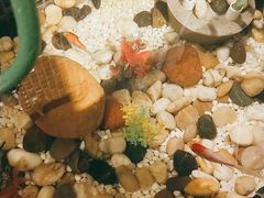 -顺意·顺德家乡菜(国际人才大厦店)