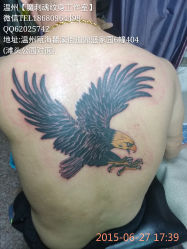 满背 后背鹰纹身（温州瓯海瞿溪店）-温州魔刺魂纹身