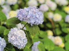 -常州古运河南大街文化旅游区-人民公园