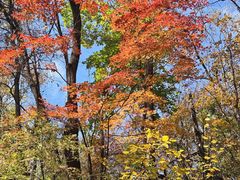 -三块石国家森林公园