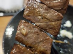 -鸟内会(河北路店)