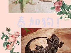-上海大自然野生昆虫馆